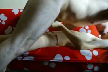 Bokep Indo Skandal ABG Bispak Ibukota Main Di Hotel